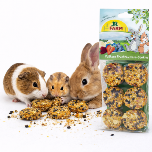 JR FARM Biscuits complets aux fruits 120 g | Friandise croustillante pour rongeurs ParrotPlanet.fr