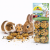 JR FARM Biscuits complets aux fruits 120 g | Friandise croustillante pour rongeurs ParrotPlanet.fr
