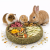 JR FARM Assiette Gourmet à ronger 100 g | Assiette naturelle avec friandise pour rongeurs ParrotPlanet.fr