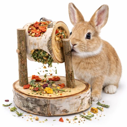 JR FARM Friandise Torsadée 200 g | Jouet en bois avec garniture pour rongeurs par ParrotPlanet.fr