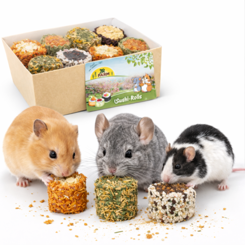JR FARM Sushi Rolls 190 g | Friandise végétale naturelle pour rongeurs par ParrotPlanet.fr