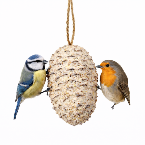 Boule de graisse pour oiseaux sauvages – source d’énergie concentrée pour l’hiver de ParrotPlanet.fr