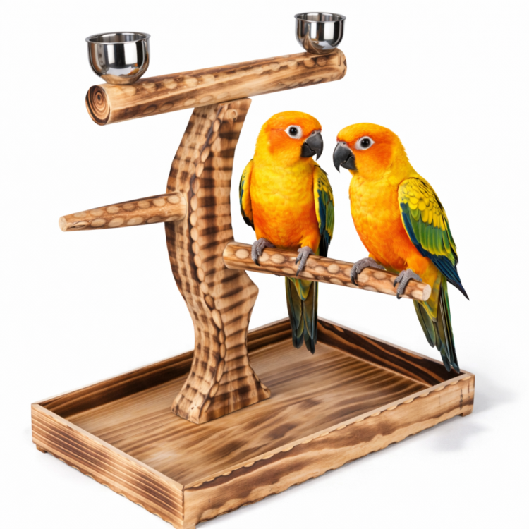 Perchoir sur Pied en Bois Naturel pour Perroquets Moyens et Grands | Avec 2 Gamelles en Acier Inoxydable ParrotPlanet.fr