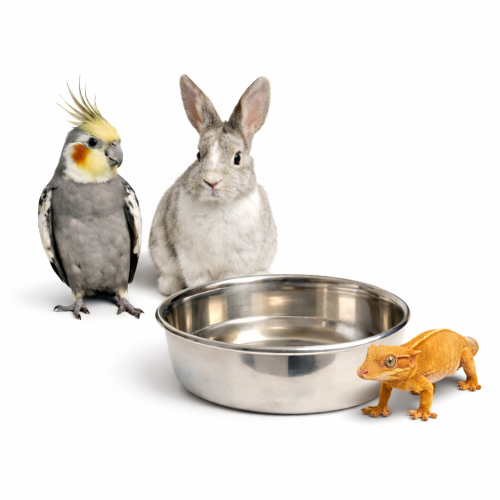 Gamelle métallique pour animaux 11 cm | Gamelle universelle pour eau et nourriture de ParrotPlanet.fr