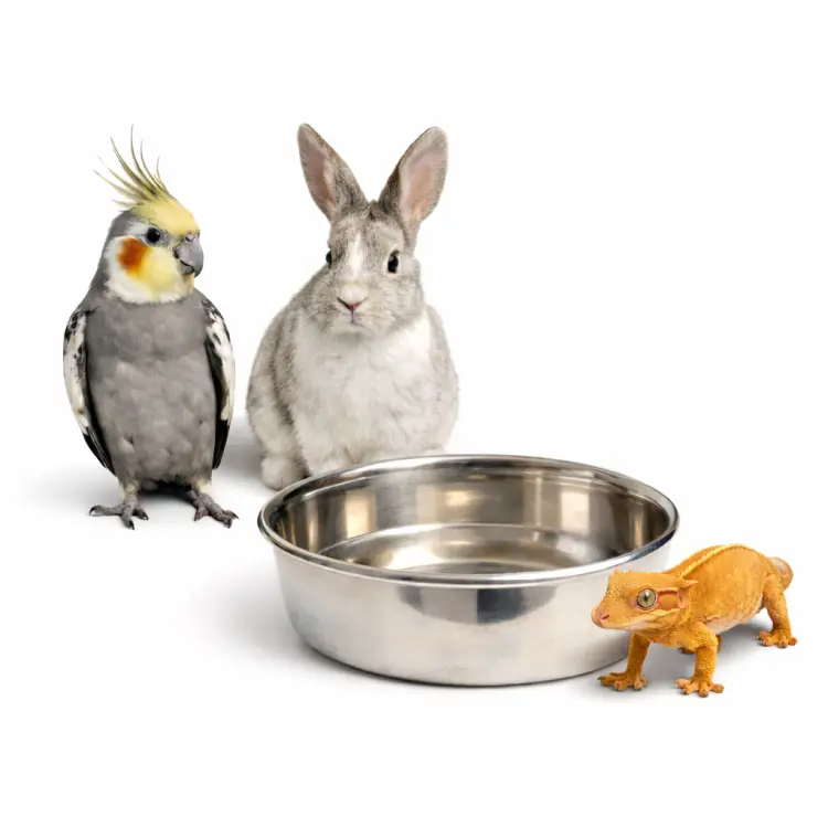Gamelle métallique pour animaux 11 cm | Gamelle universelle pour eau et nourriture de ParrotPlanet.fr