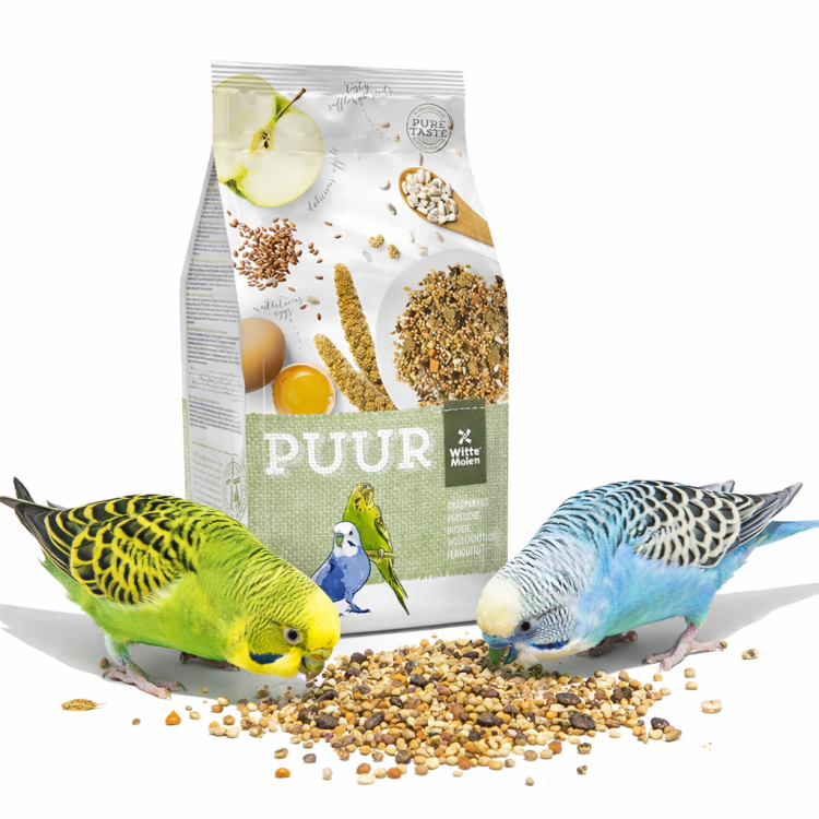 Mélange riche en protéines avec graines de lin | Aliment soutenant la condition et la mue des oiseaux par ParrotPlanet.fr