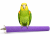 ChatGPT Image 12 mar 2026, 13_50_05.png