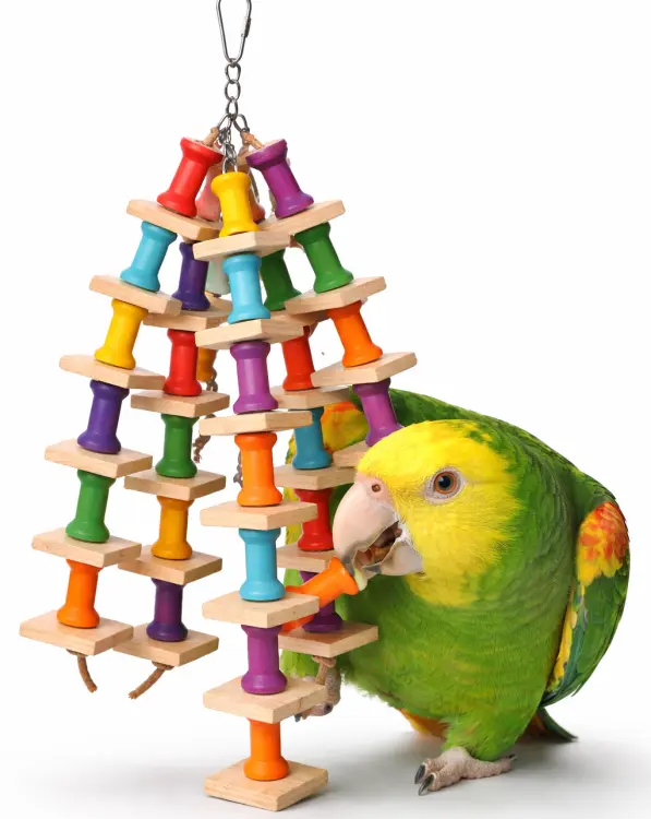 Très Joli Jouet – Jouet en bois à mordiller pour perroquets moyens et grands – 35 cm ParrotPlanet.fr