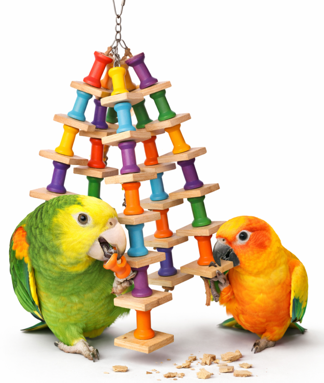 Très Joli Jouet – Jouet en bois à mordiller pour perroquets moyens et grands – 35 cm ParrotPlanet.fr
