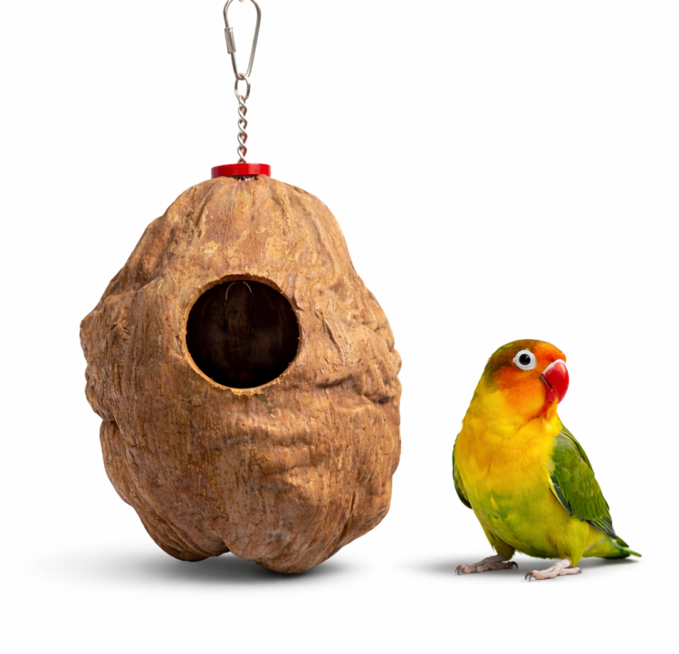 Kokosowa Kryjówka | Zabawka Kryjówka | Jaskinia dla małych, średnich i dużych papug od ParrotPlanet.pl