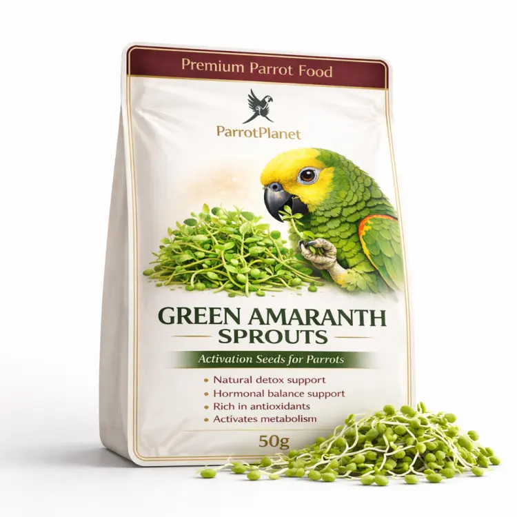 Premium Parrot Food | Amarantus Zielony | Nasiona na Kiełki | dla Papug 50g od ParrotPlanet.pl