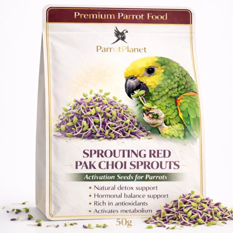 Premium Parrot Food | Pak Choi Czerwona | Nasiona na Kiełki | dla Papug 50g od ParrotPlanet.pl