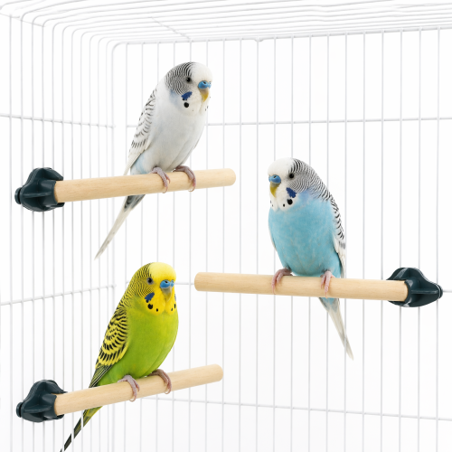 Komplet 3 naturalnych żerdzi drewnianych dla małych papug 18 cm od ParrotPlanet.pl