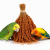 TIVO Spray Millet Red 500 g – millet rouge en grappes pour perroquets et oiseaux exotiques ParrotPlanet.fr