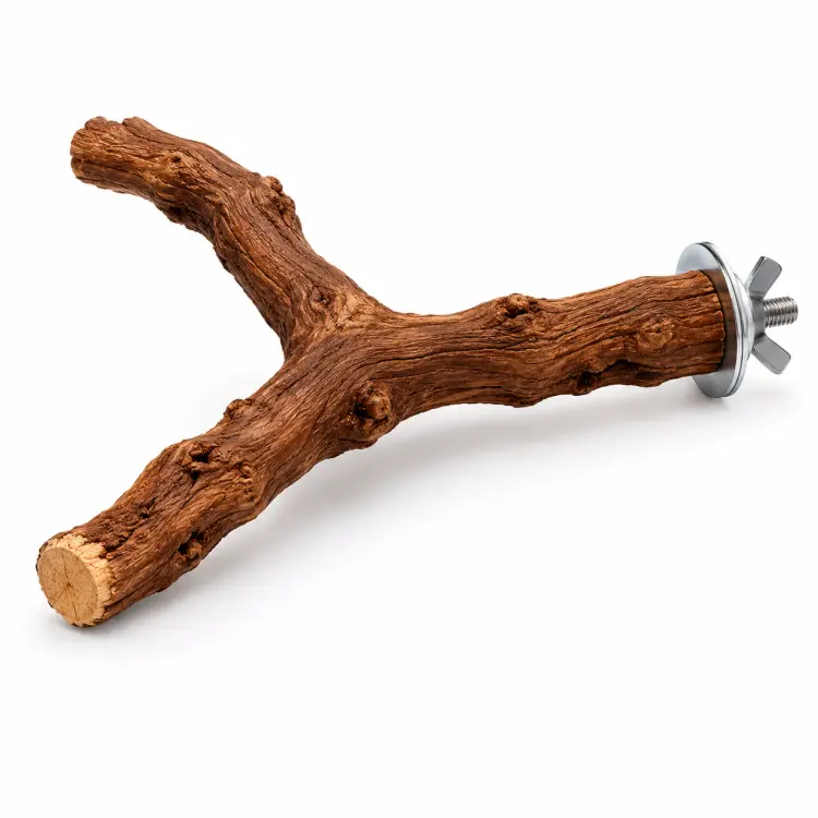 Perchoir naturel en vigne en forme de Y pour perroquets – L – env. Ø 3 × 30 cm ParrotPlanet.fr