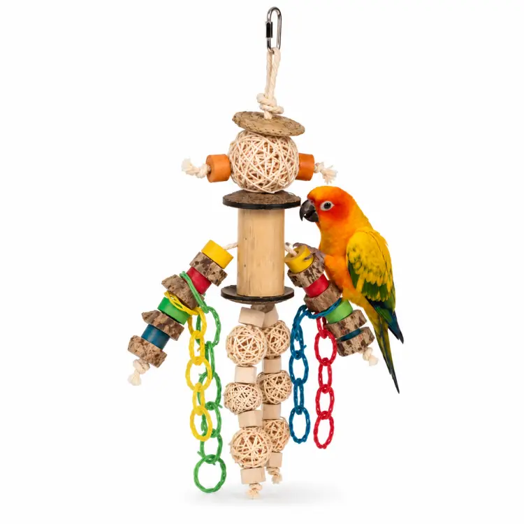 Foraging Man – jouet naturel suspendu pour perroquets moyens et grands ParrotPlanet.fr