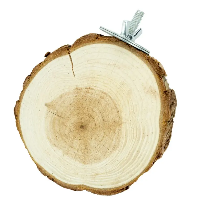 Table ronde en bois pour perroquets S/M – diamètre 10 cm ParrotPlanet.fr