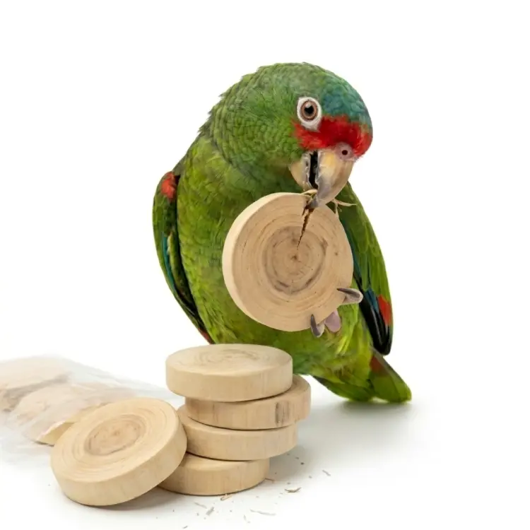 Rondelles naturelles en bois de Java – jouet à tenir dans la patte pour perroquets | Pièces détachées pour jouets DIY ParrotPlanet.fr