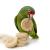 Rondelles naturelles en bois de Java – jouet à tenir dans la patte pour perroquets | Pièces détachées pour jouets DIY ParrotPlanet.fr