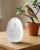 MIMIC ME MINI – appareil d’apprentissage de la parole pour perroquets parrotplanet.fr