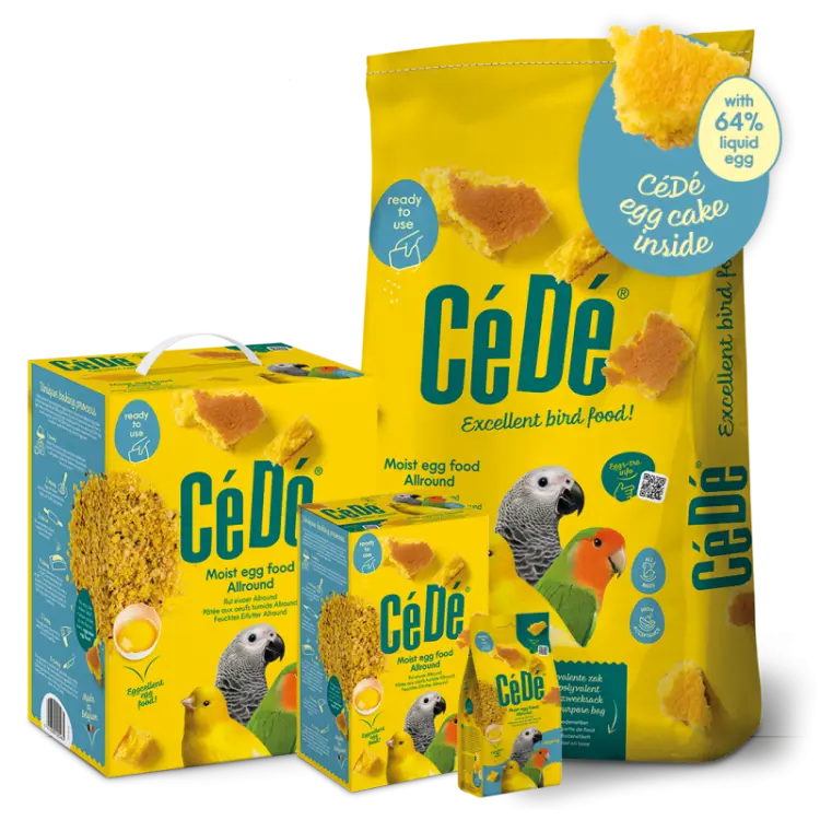 CéDé EGG FOOD MOIST ALLROUND 1 kg - Pâtée aux œufs humide pour oiseaux d’ornement ParrotPlanet.fr