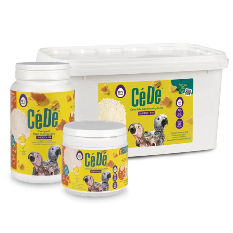CéDé Hand Rearing Food Energy+ P19 F15 800 g | Aliment d’élevage à la main pour grandes perruches et perroquets  ParrotPlanet.fr