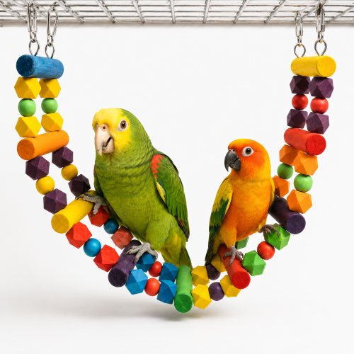 Kolorowa Drabinka - zabawka dla wszystkich papug z podwójnym mocowaniem od ParrotPlanet.pl