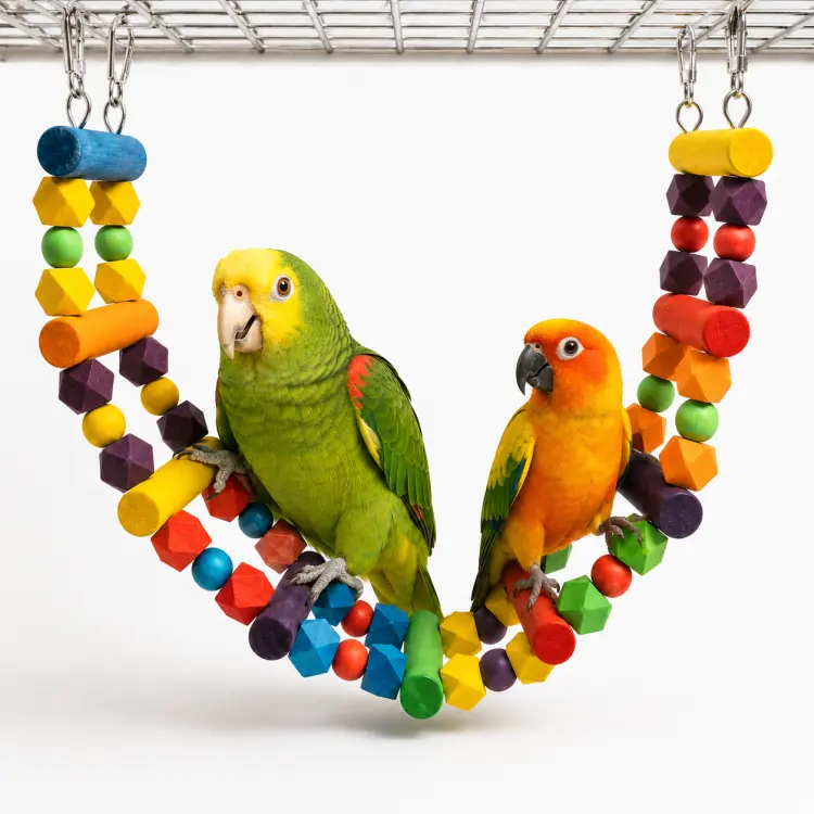 Échelle colorée – jouet à double fixation pour tous les perroquets ParrotPlanet.fr