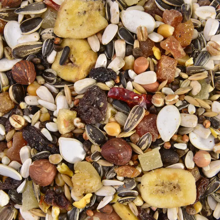 Exotic Fruit Mix Wagner's - mix egzotyczny dla wszystkich papug 1kg od ParrotPlanet.pl
