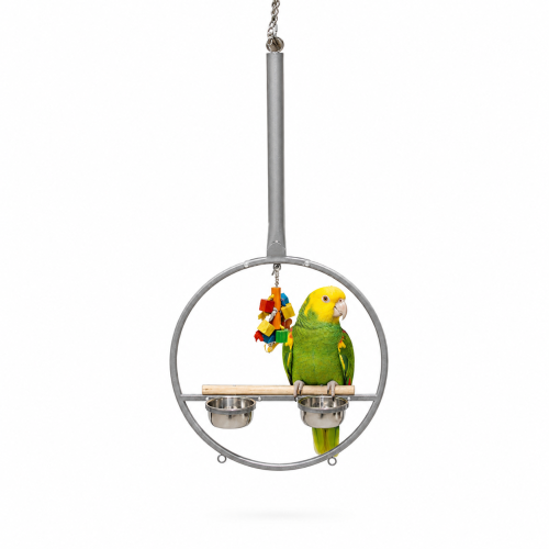 Plac zabaw MONTANA kółko jasny dla dużych i średnich papug od ParrotPlanet.pl