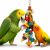 2 w 1 | Drewniana Zabawka dla PaPug od ParrotPlanet.pl