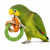 Anneaux à grignoter – jouet naturel pour perroquets ParrotPlanet.fr