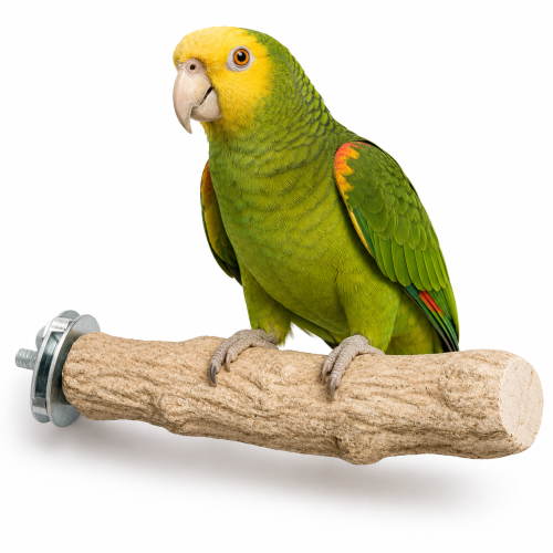 Żerdź dla papug do pielęgnacji pazurów średnica 4 cm od ParrotPlanet.pl