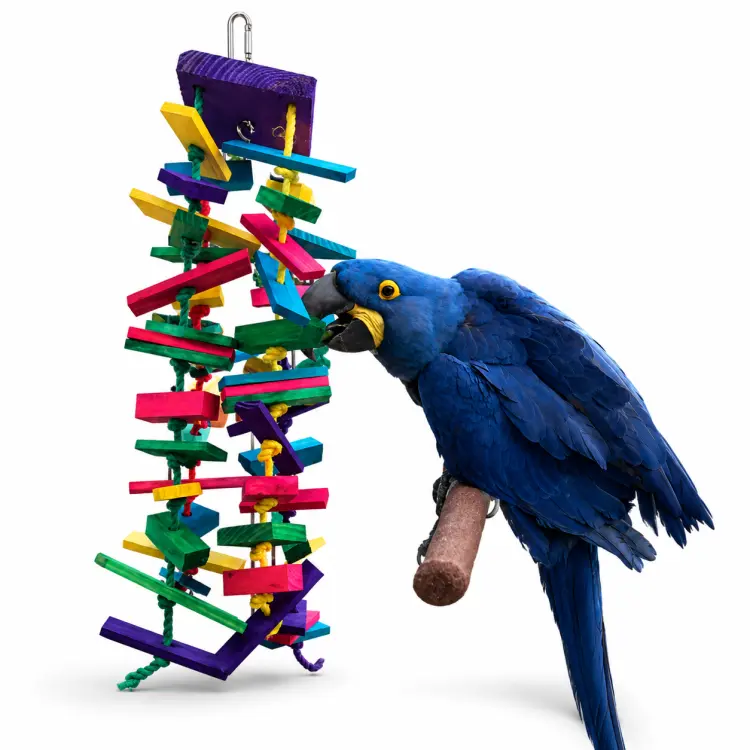 Fun70 - 70 cm zabawka dla dużych i średnich papug ponad 1,5kg wagi! od ParrotPlanet.pl