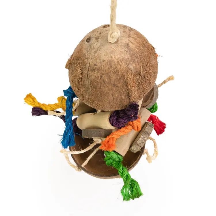 Coco Stack – jouet suspendu en noix de coco et bois pour perroquets 13 × 40 cm  ParrotPlanet