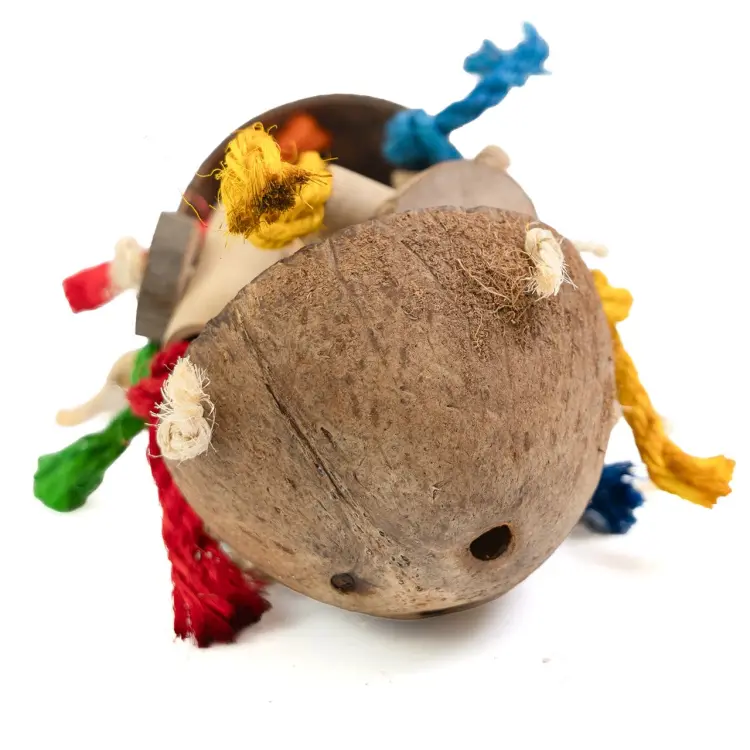 Coco Stack – jouet suspendu en noix de coco et bois pour perroquets 13 × 40 cm  ParrotPlanet