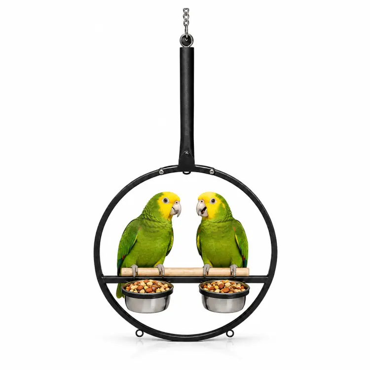 Montana Ring – perchoir suspendu pour perroquets moyens et grands 60 × 120 cm ParrotPlanet.fr