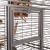 Cage pour perroquets Montana Arkansas Nova I foncée – grande cage pour perroquets de moyenne et grande taille 101,5 × 101,5 × 220 cm ParrotPlanet.fr