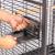 Cage pour perroquets Montana Arkansas Nova I foncée – grande cage pour perroquets de moyenne et grande taille 101,5 × 101,5 × 220 cm ParrotPlanet.fr