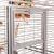 Cage pour perroquets Montana Arkansas Nova I Platinum claire – grande cage pour perroquets de moyenne et grande taille 101,5 × 101,5 × 220 cm ParrotPlanet.fr