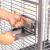 Cage pour perroquets Montana Arkansas Nova I Platinum claire – grande cage pour perroquets de moyenne et grande taille 101,5 × 101,5 × 220 cm ParrotPlanet.fr