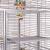 Cage pour perroquets Montana Arkansas II Platinum claire – cage pour tous les perroquets de grande et moyenne taille ParrotPlanet.fr