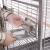 Cage pour perroquets Montana Arkansas II Platinum claire – cage pour tous les perroquets de grande et moyenne taille ParrotPlanet.fr