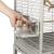 Montana Madeira I Platinum – cage pour petits et moyens perroquets ParrotPlanet.fr