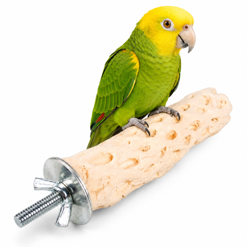 Duvoplus perchoir minéral au calcium pour perroquets 26,5 × 4,5 × 4,5 cm – texture nid d’abeille ParrotPlanet.fr