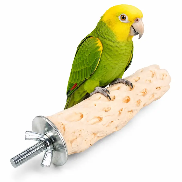 Duvoplus perchoir minéral au calcium pour perroquets 26,5 × 4,5 × 4,5 cm – texture nid d’abeille ParrotPlanet.fr