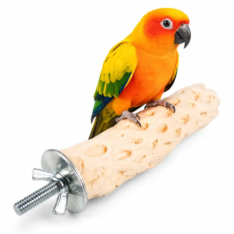 Duvoplus perchoir minéral au calcium pour perroquets M 20 × 3,5 × 3,5 cm – texture nid d’abeille ParrotPlanet.fr