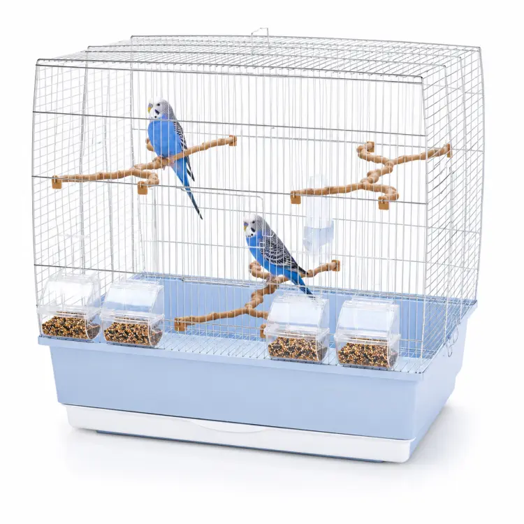 Cage pour perruches ondulées, canaris et petits oiseaux 59 × 38 × 56 cm od ParrotPlanet.pl