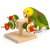 Carrousel d’alimentation pour perroquets en bois, 22 × 8 × 22 cm ParrotPlanet.fr