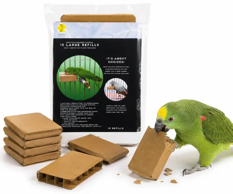 Creative Foraging Systems – Recharges en carton pour perroquets, Large, 15 pièces ParrotPlanet.fr